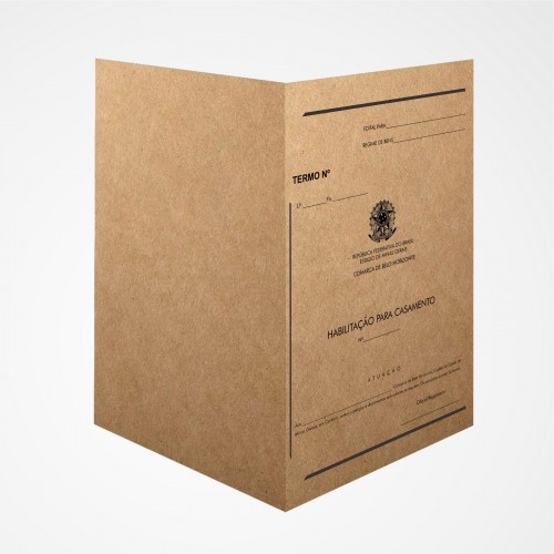 CAPA EM PAPEL KRAFT NATURAL VIRGEM, VINCO